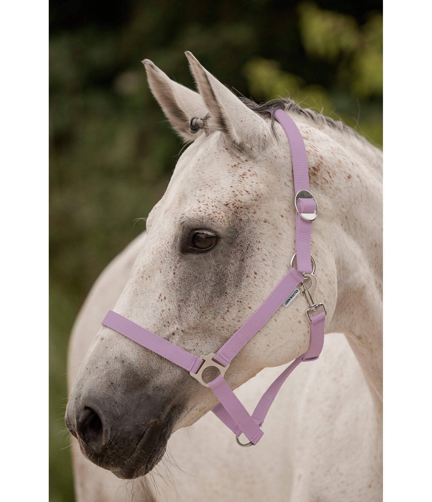 Showmaster Cabezada de Cuadra para Caballo