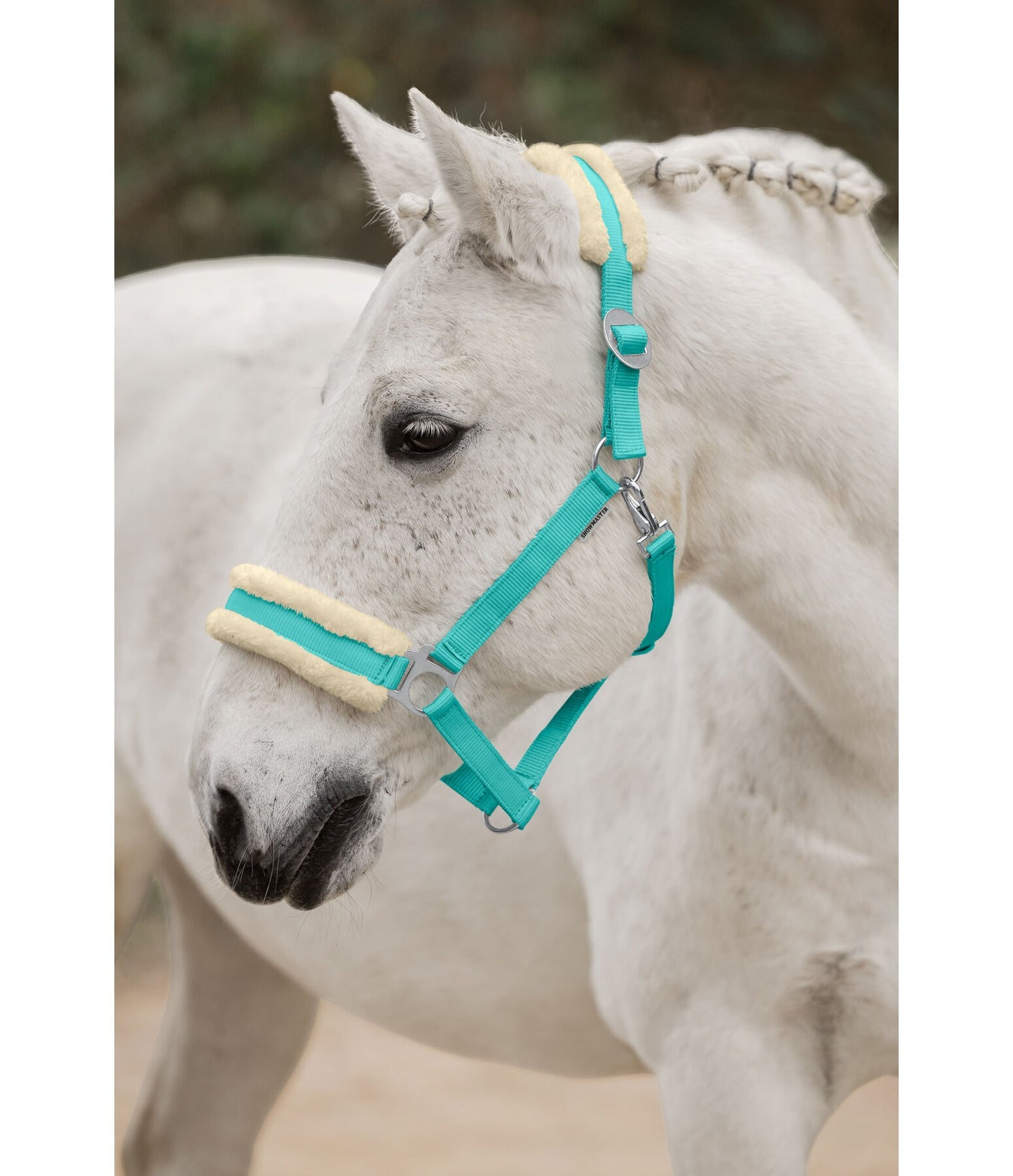 Showmaster Super Price III Cabezada Borreguito Caballo