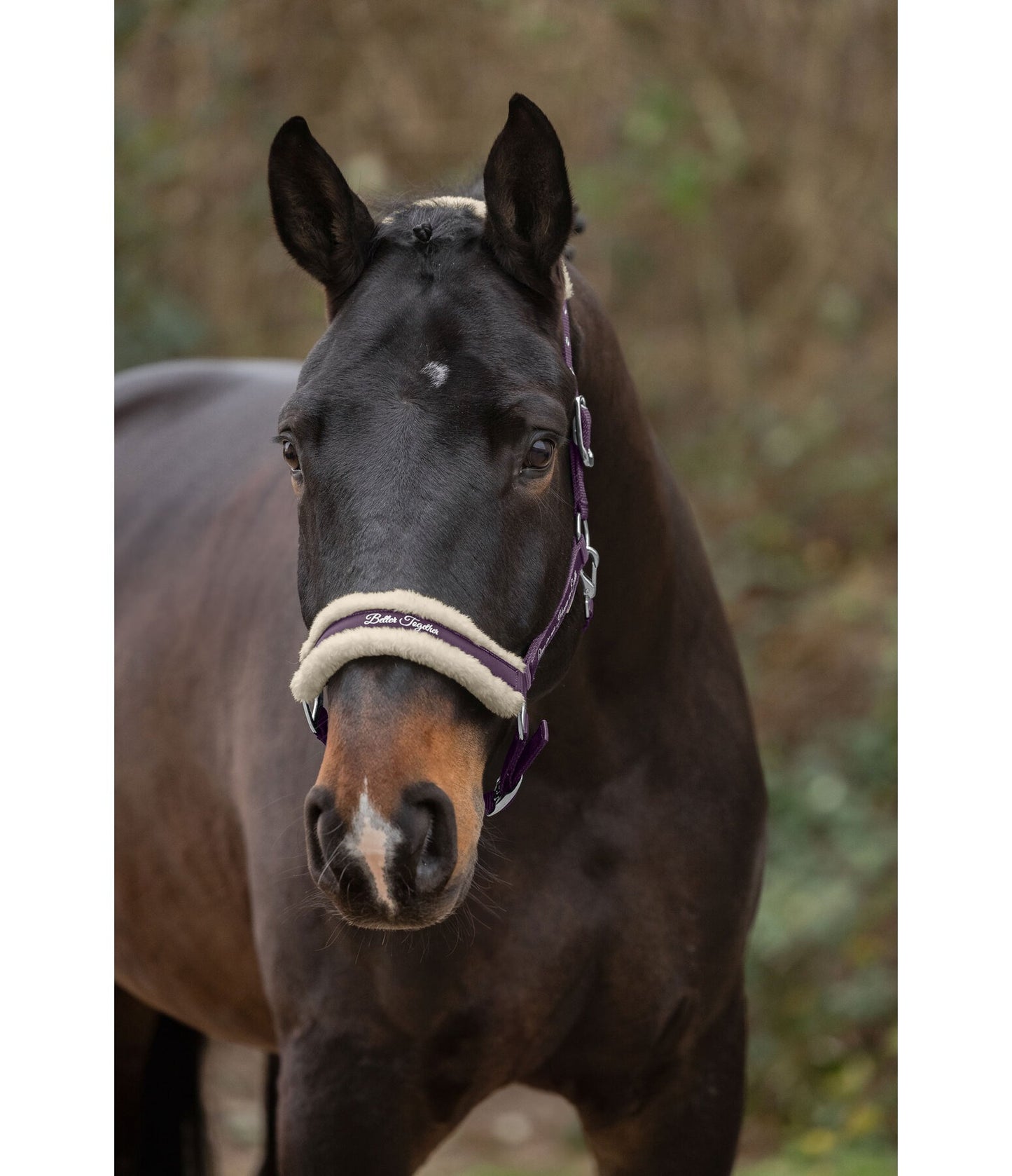 Showmaster Better Together Cabezada Borreguito Caballo