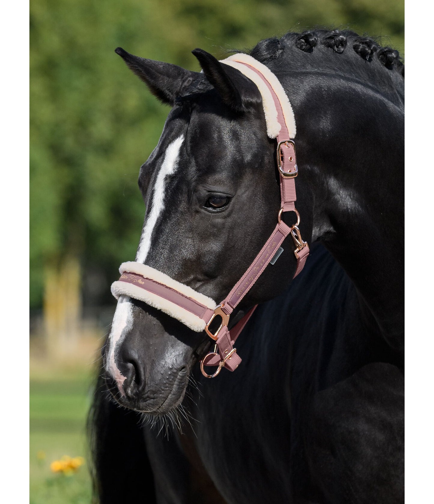 Showmaster Better Together Cabezada Borreguito Caballo