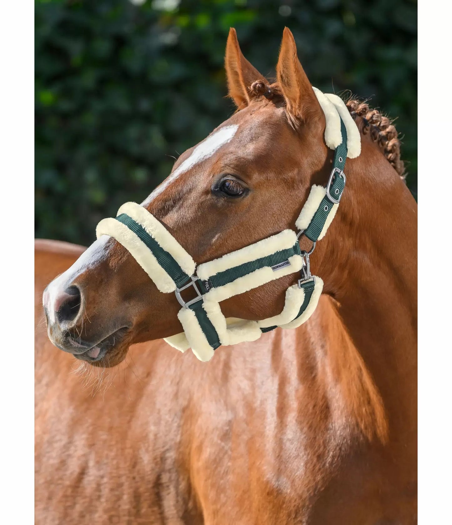 Showmaster Cabezada Borreguito Caballo