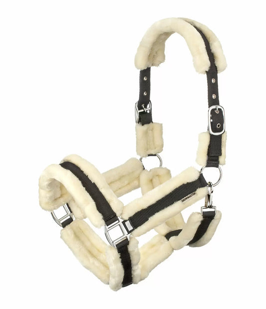 Showmaster Cabezada Borreguito Caballo