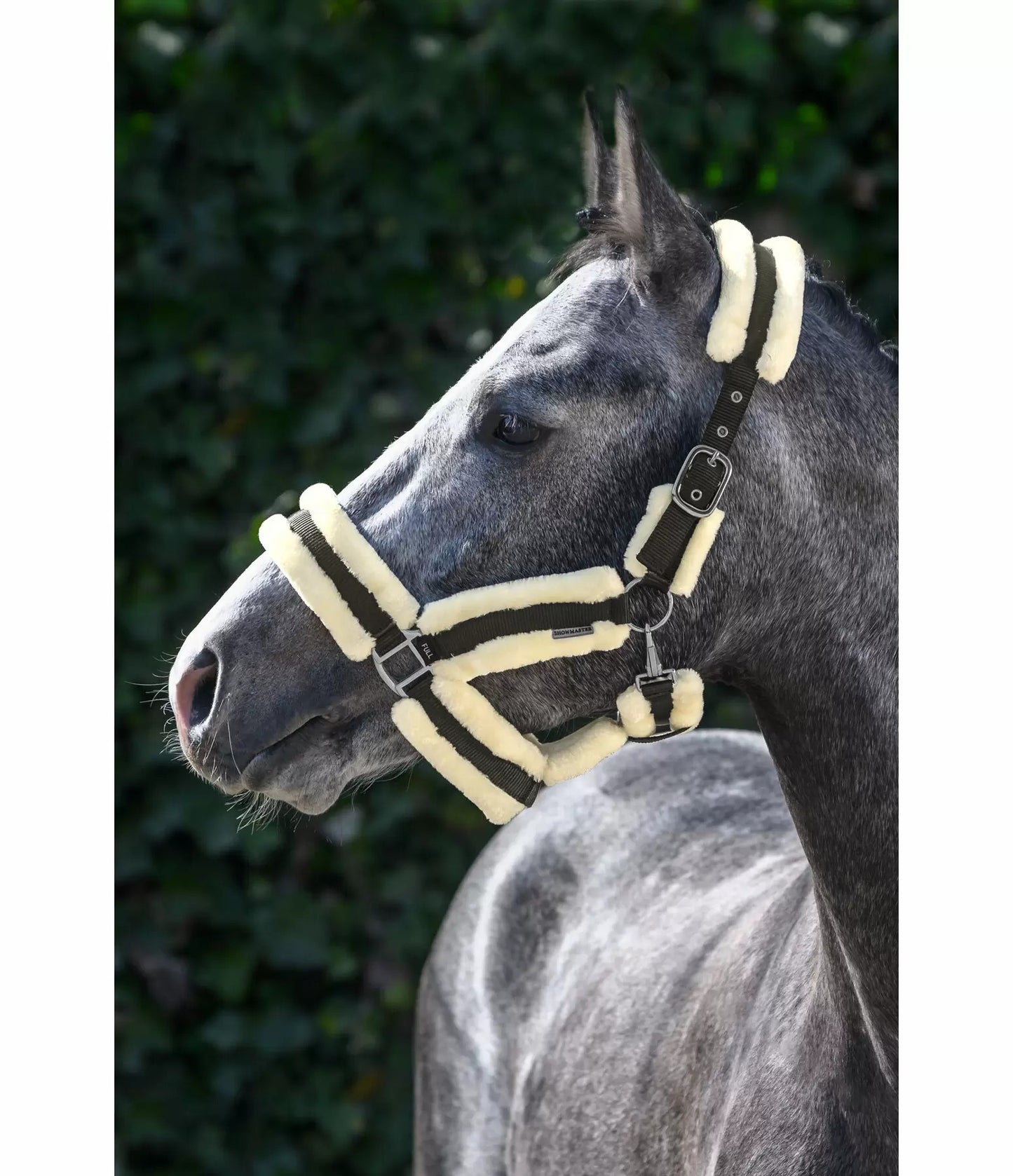 Showmaster Cabezada Borreguito Caballo