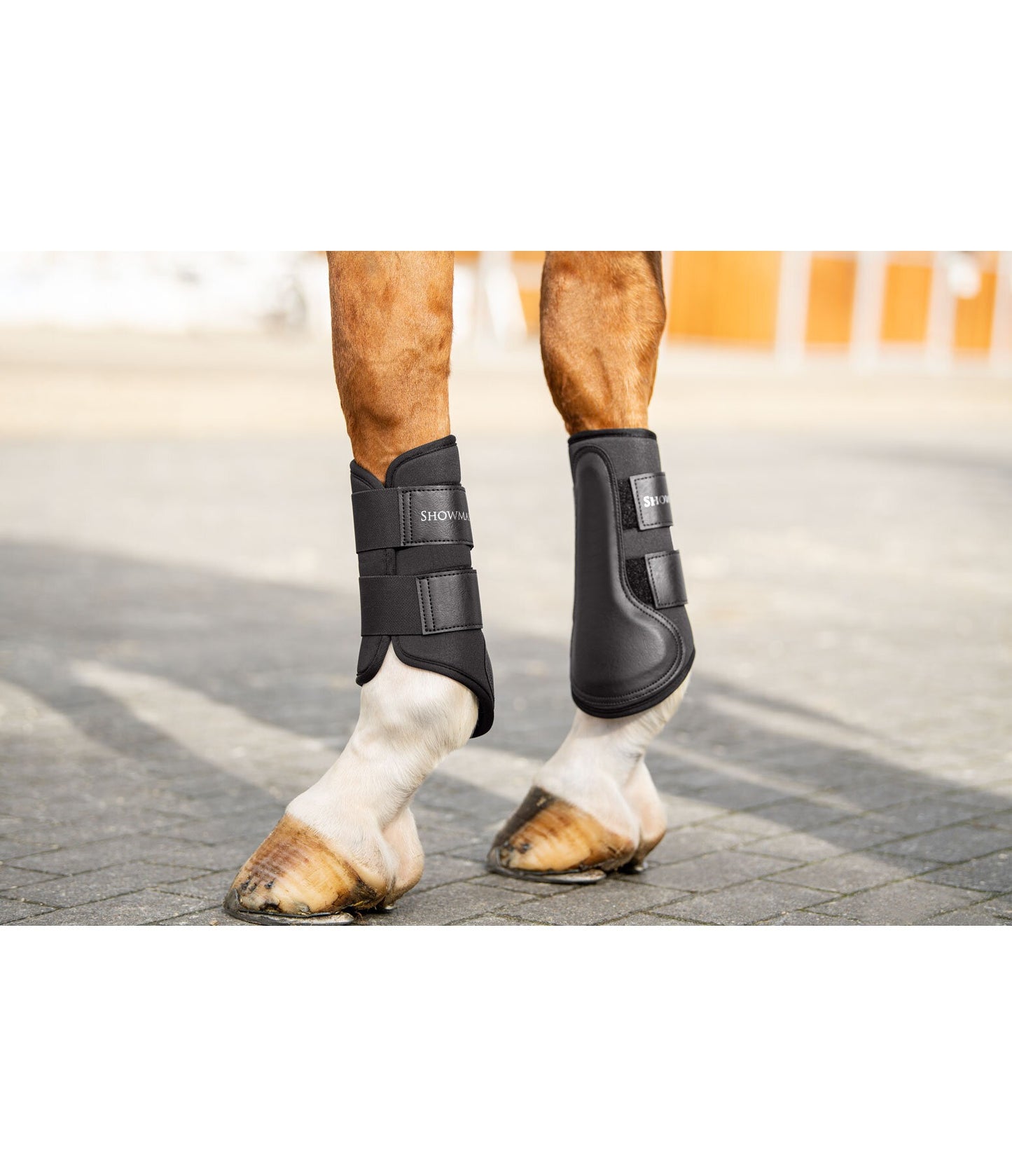 Showmaster Protectores Delanteros Caballo