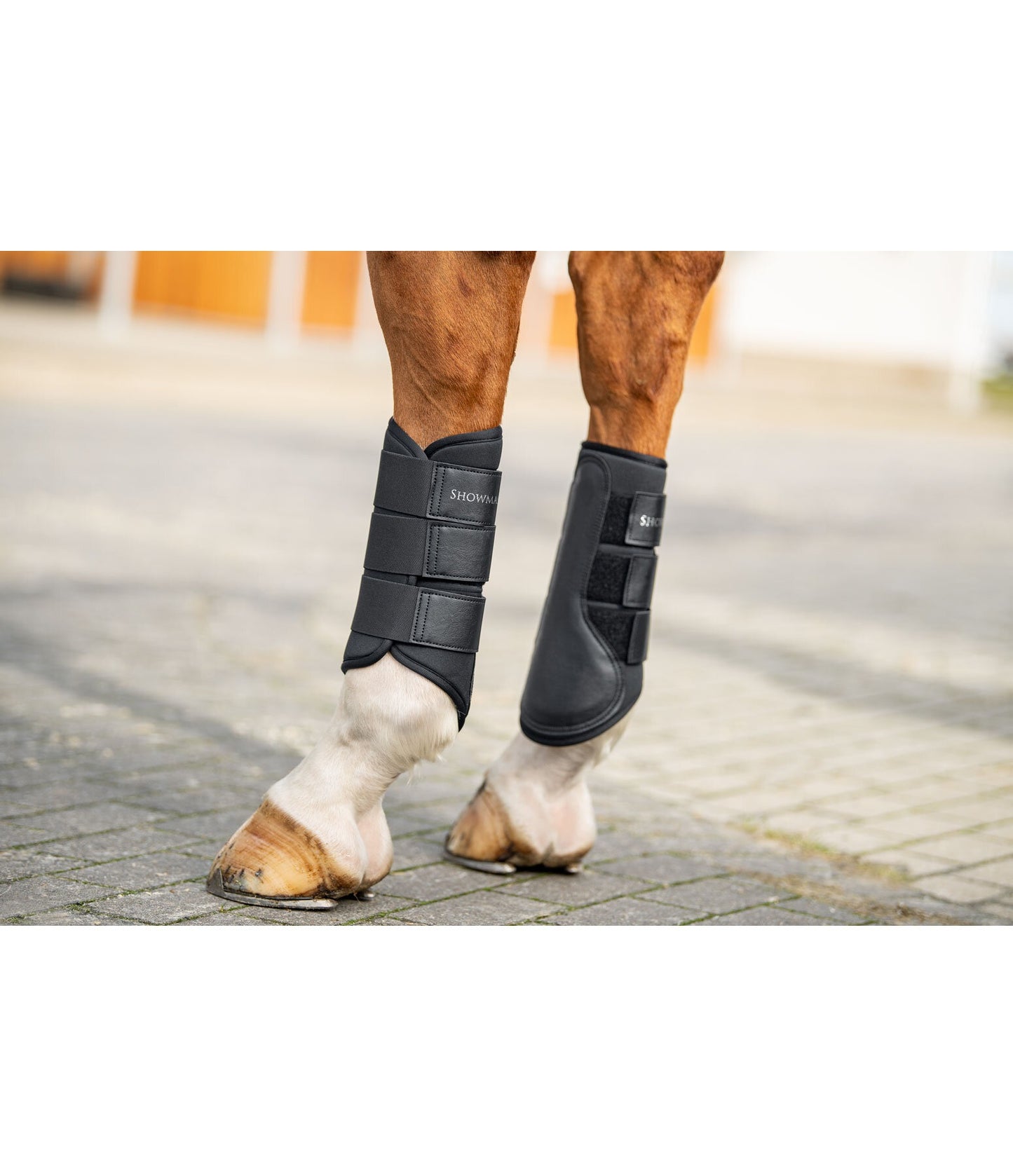 Showmaster Protectores Traseros Caballo