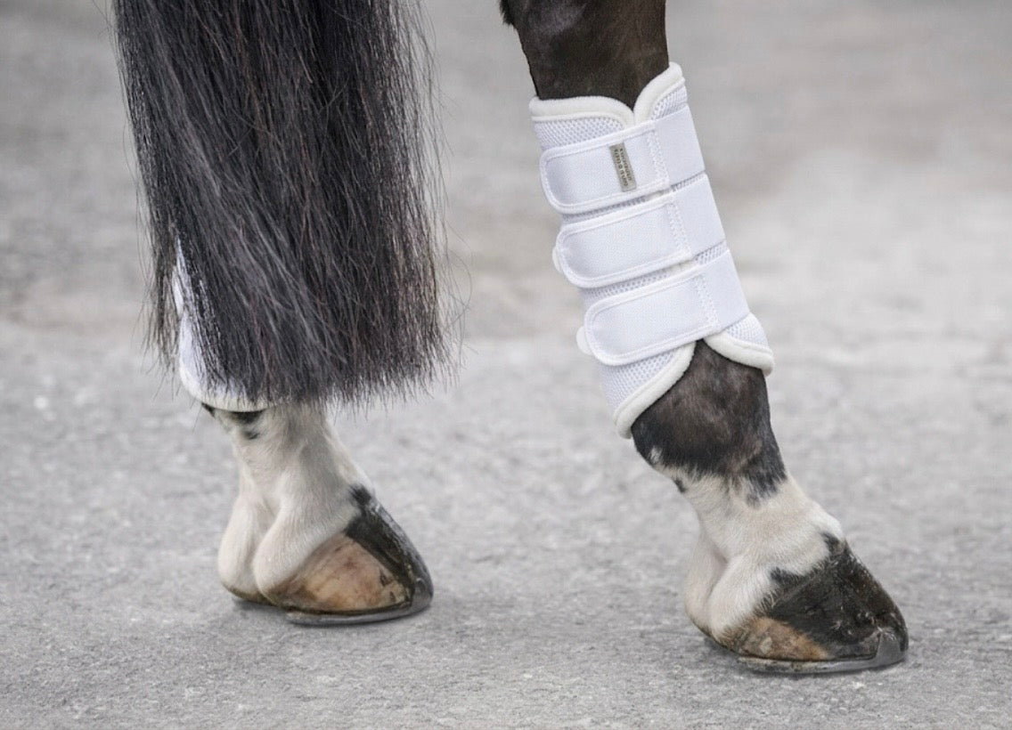 Protectores Suiza. Patas traseras
