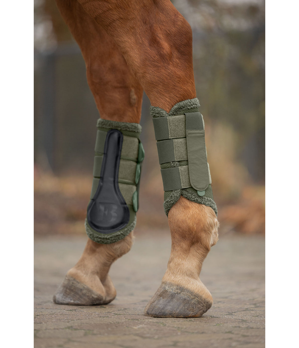 Protectores Teddy ll. Patas traseras