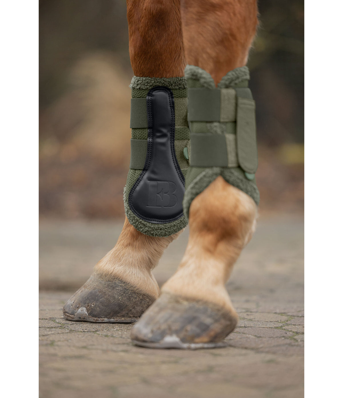 Protectores Teddy ||