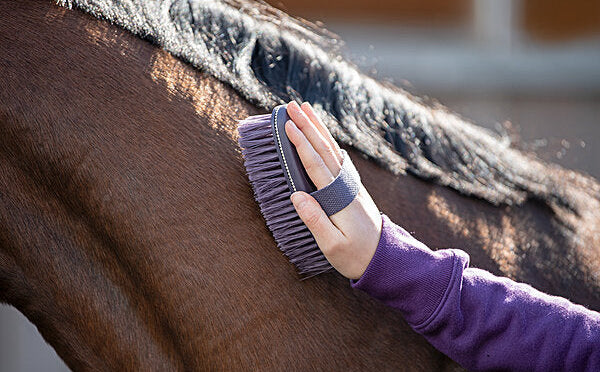 Cepillo cuerpo brillante