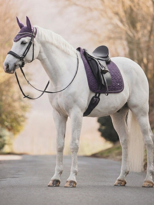 Sudadero Twinkle