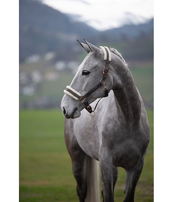 Cabezada de cuadra caballo borreguito - Showmaster Better Together