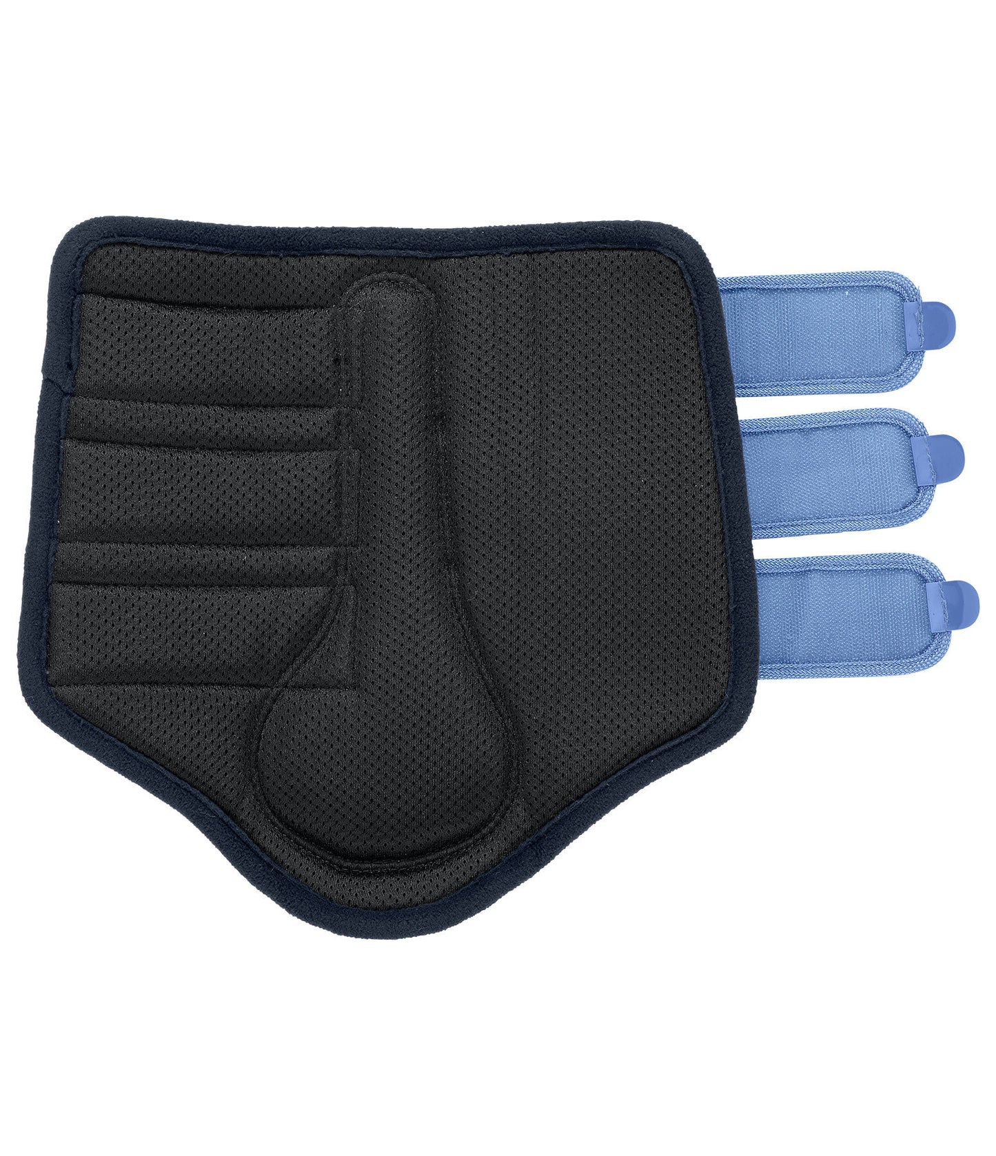 Protectores Suiza. Patas traseras