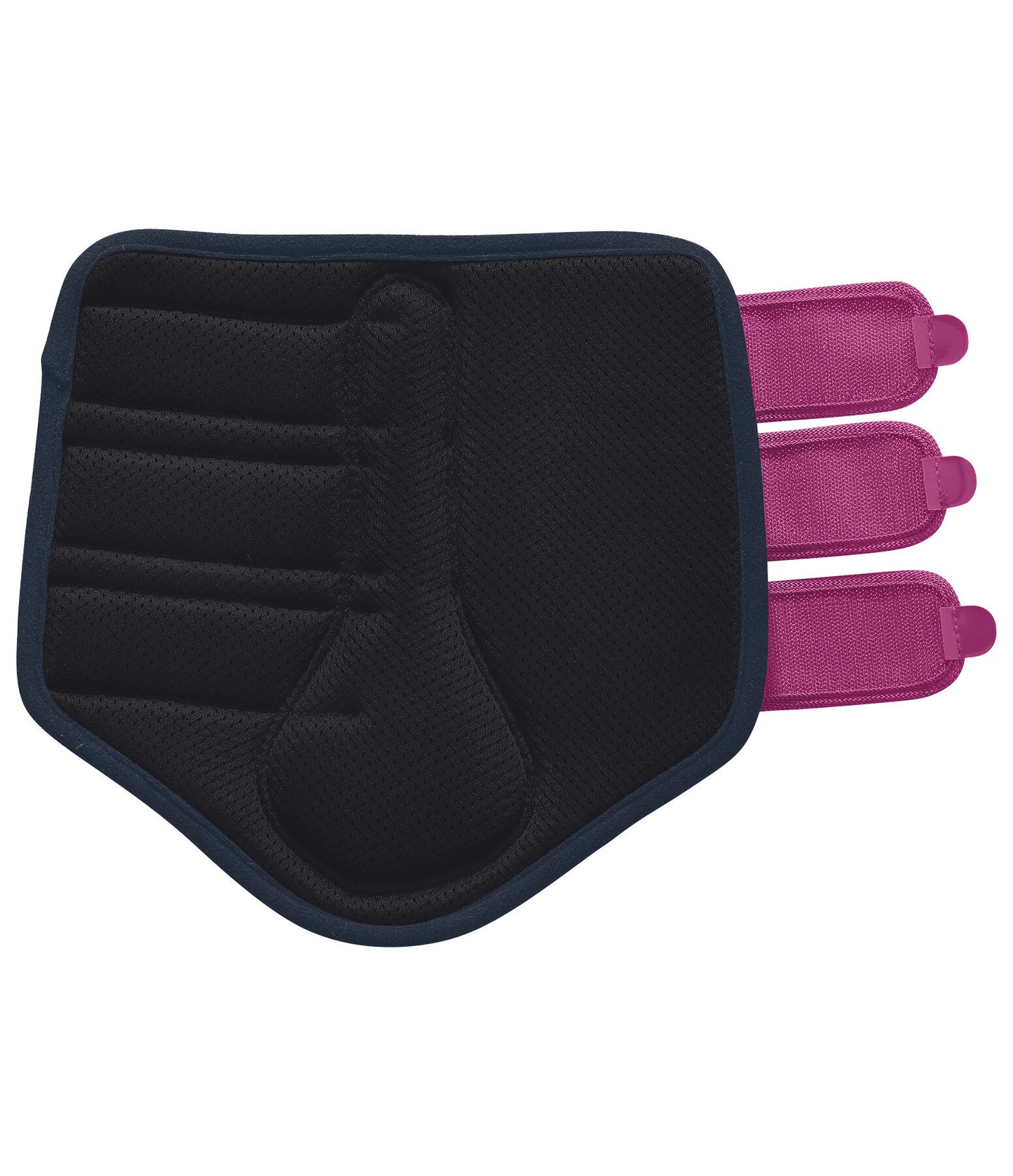 Protectores Suiza. Patas traseras