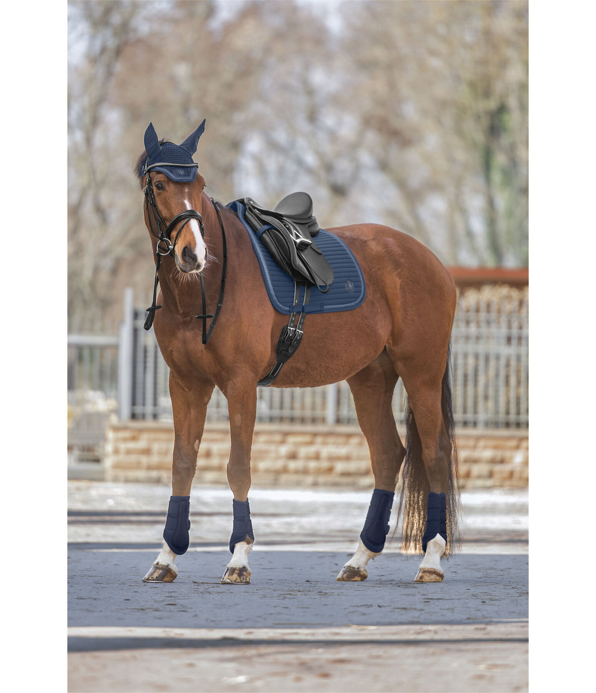 Protectores Glitter. Patas delanteras
