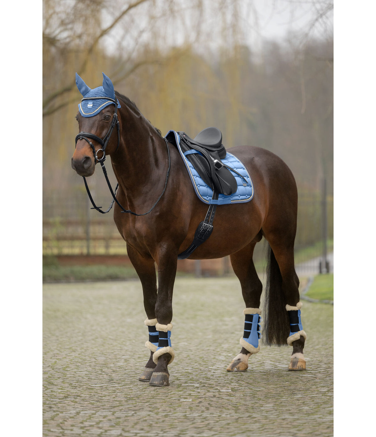 Protectores Teddy patas delanteras