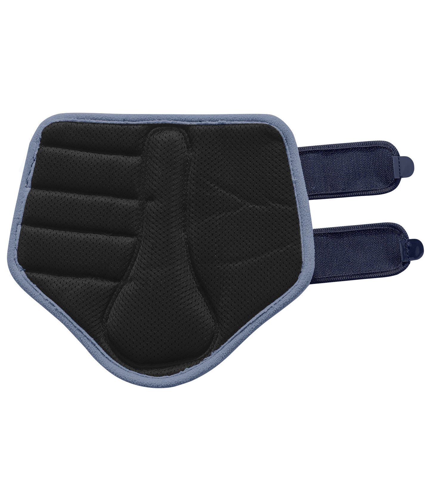 Protectores Suiza. Patas delanteras