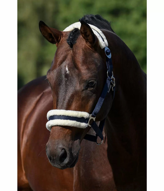 Showmaster Super Price III Cabezada Borreguito Caballo