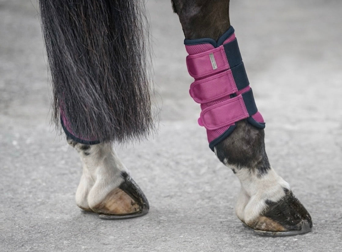 Protectores Suiza. Patas traseras