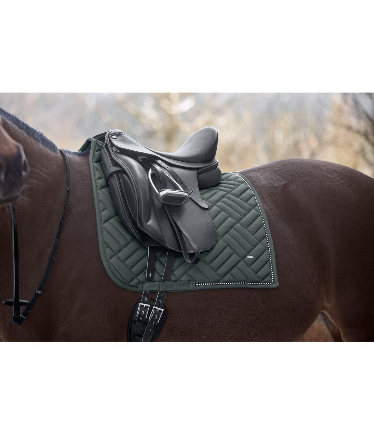 Sudadero Brilliant 2.0