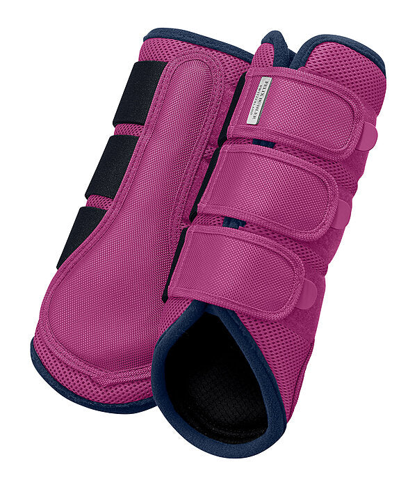 Protectores Suiza. Patas traseras