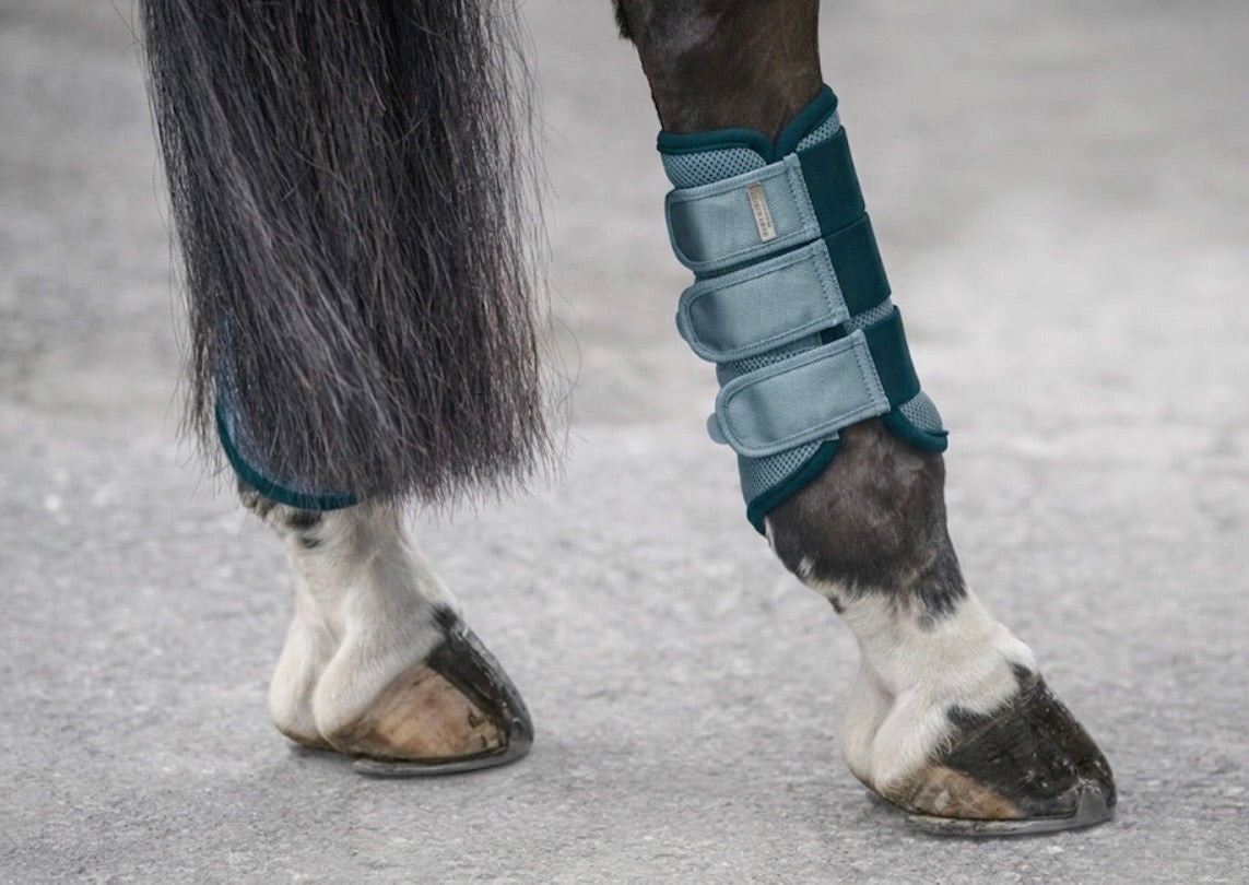 Protectores Suiza. Patas traseras