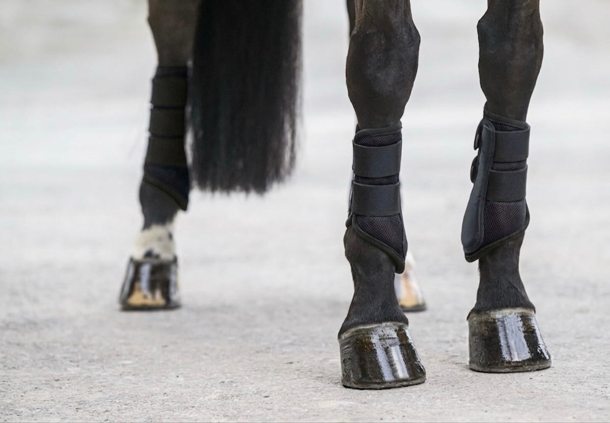 Protectores Suiza. Patas traseras