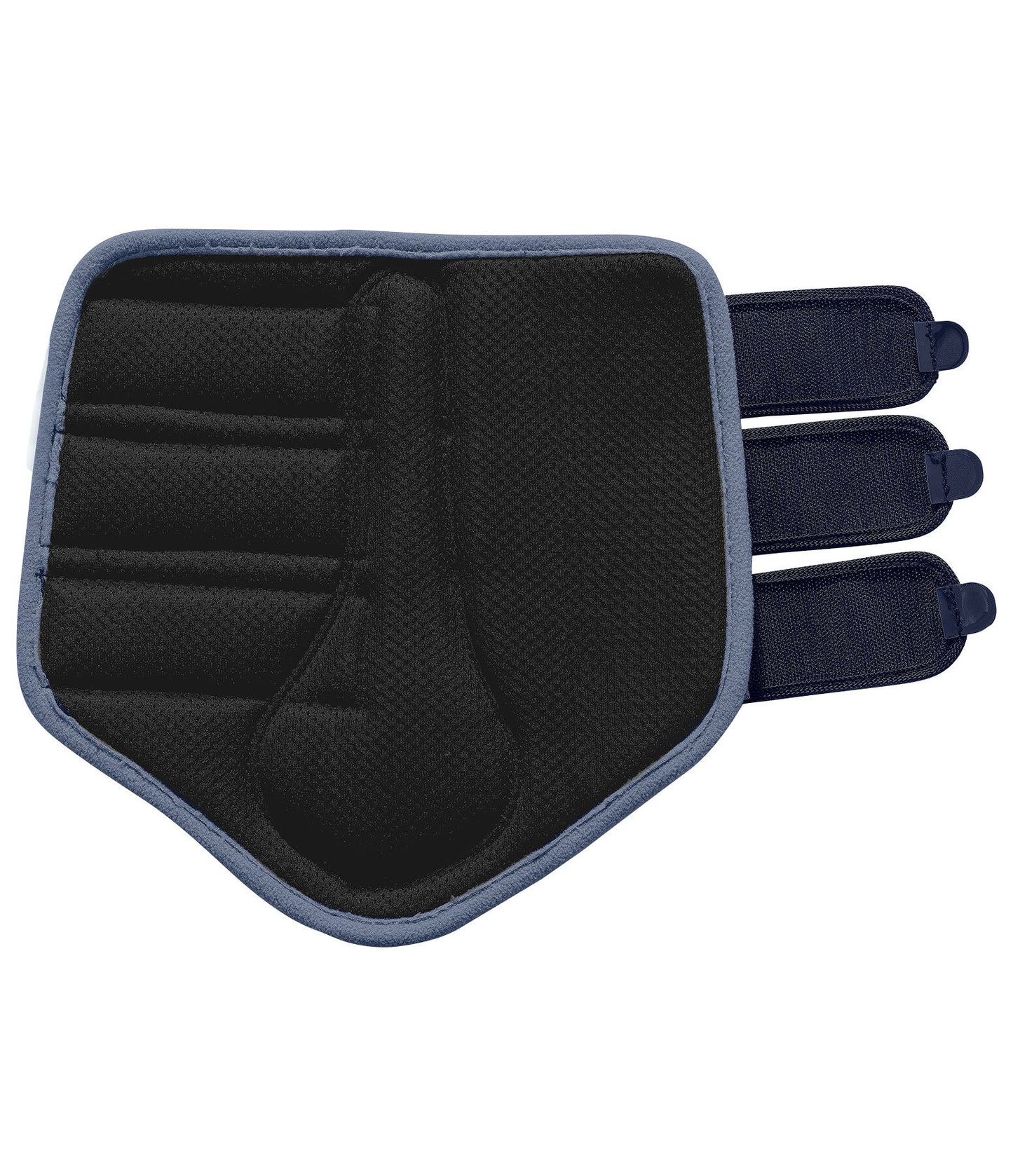 Protectores Suiza. Patas traseras