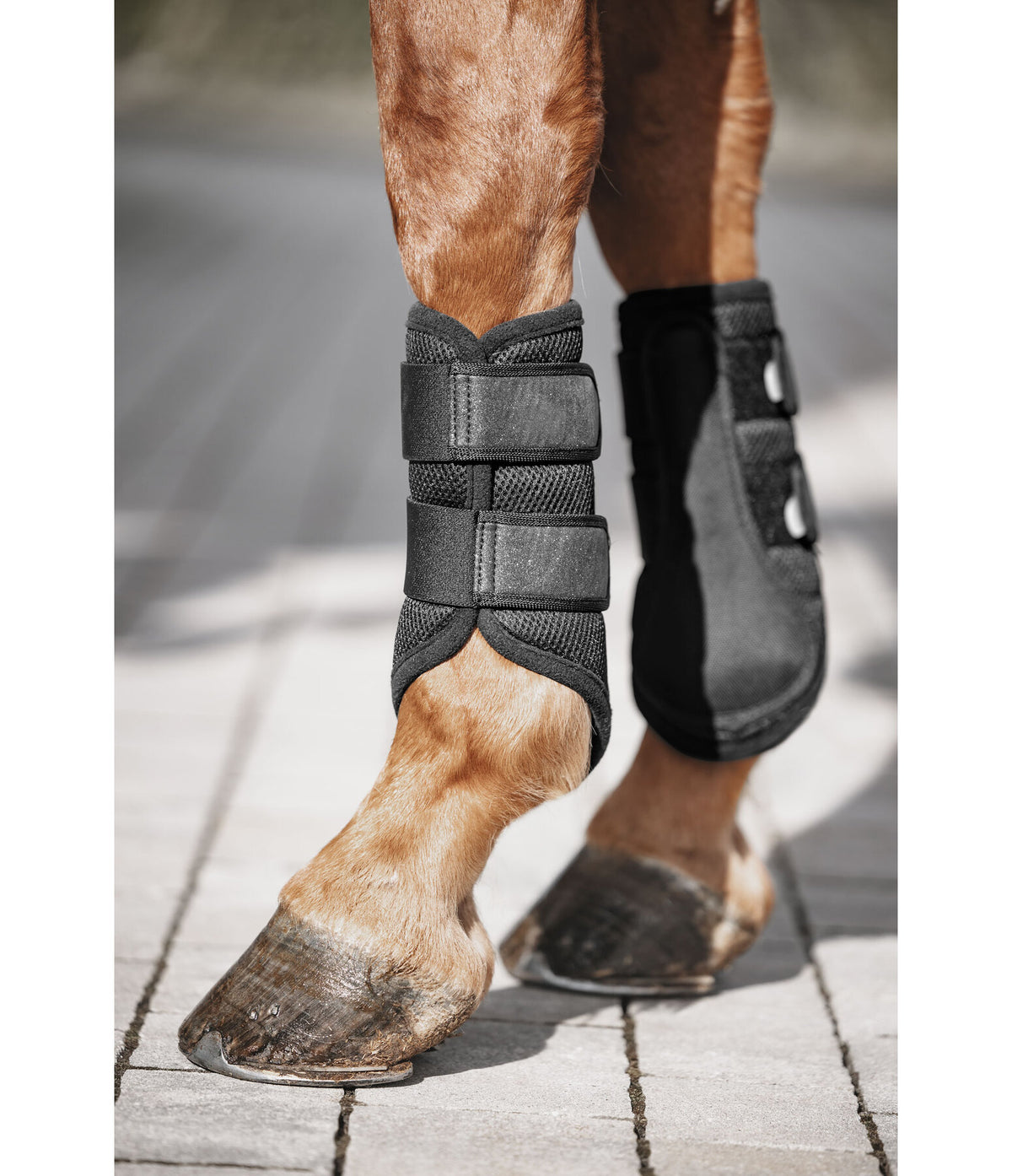 Protectores Glitter. Patas delanteras