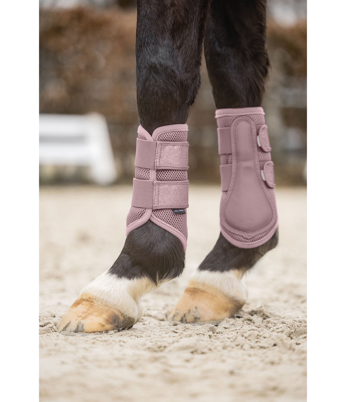 Protectores Glitter. Patas delanteras