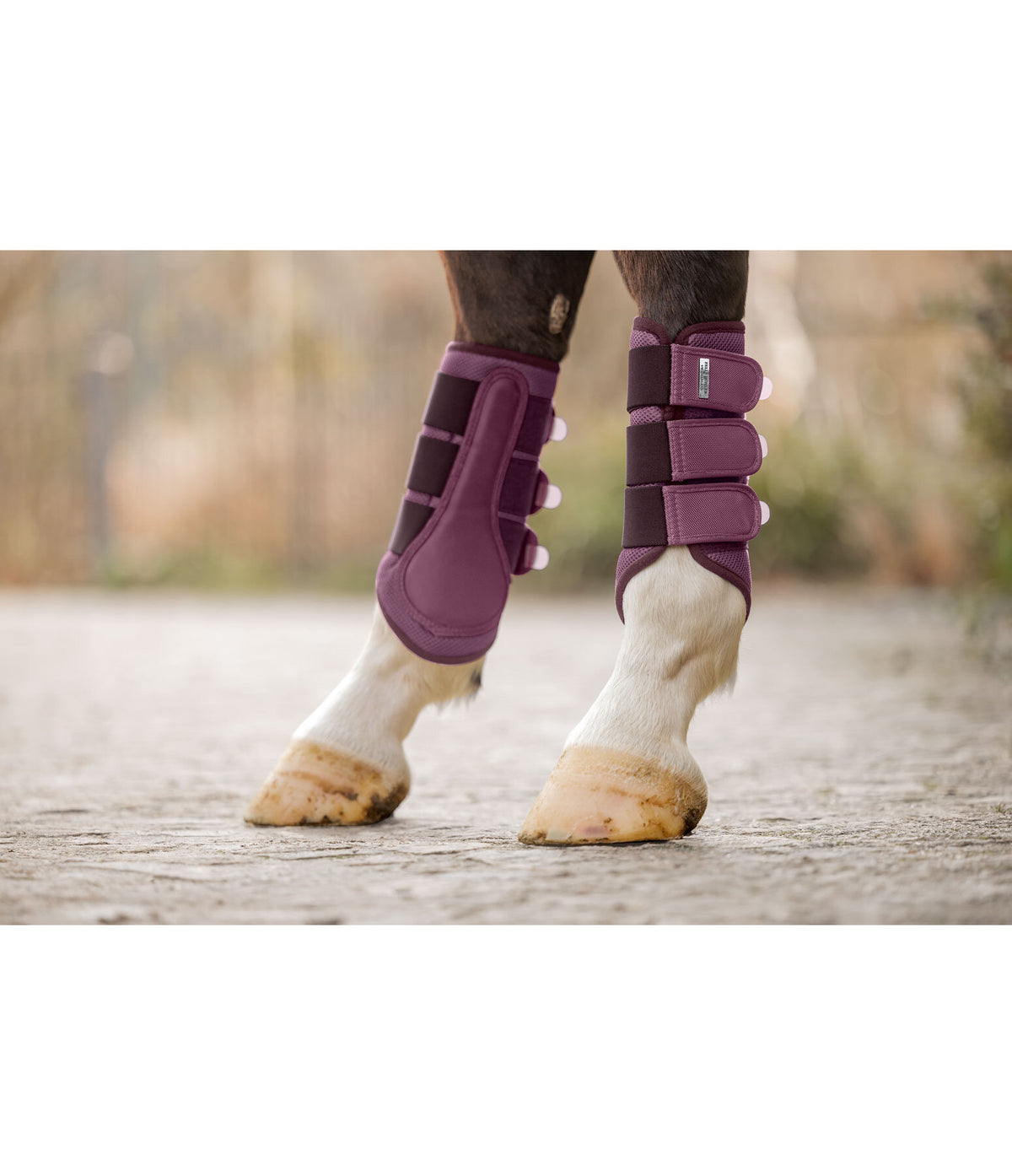 Protectores Suizos 2.0 Patas traseras