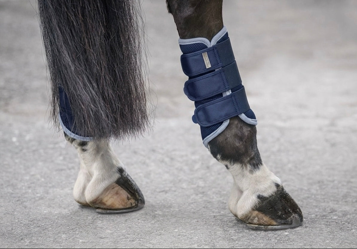 Protectores Suiza. Patas traseras