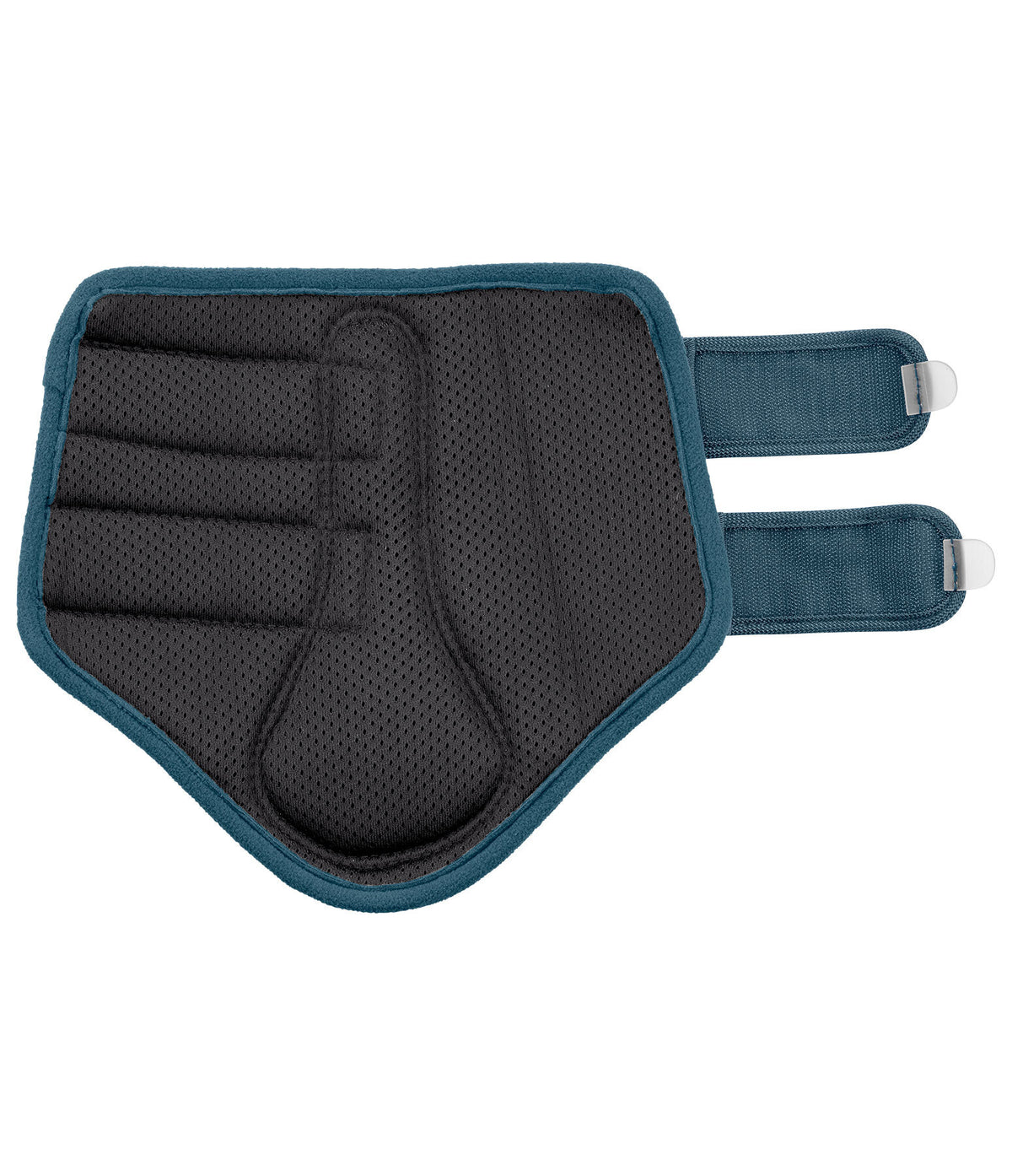 Protectores Glitter. Patas delanteras