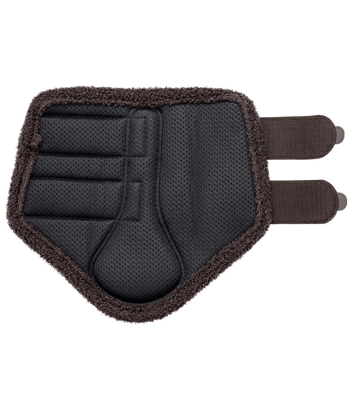 Protectores Teddy ||