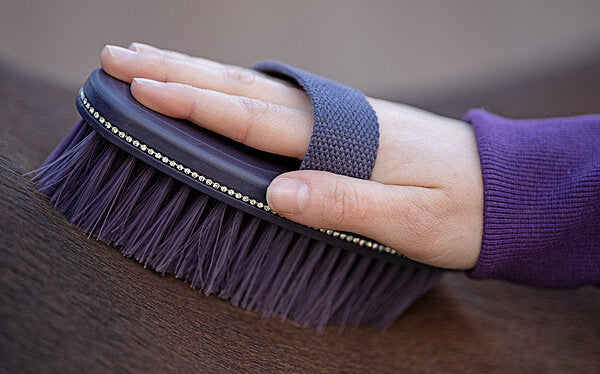 Cepillo cuerpo brillante