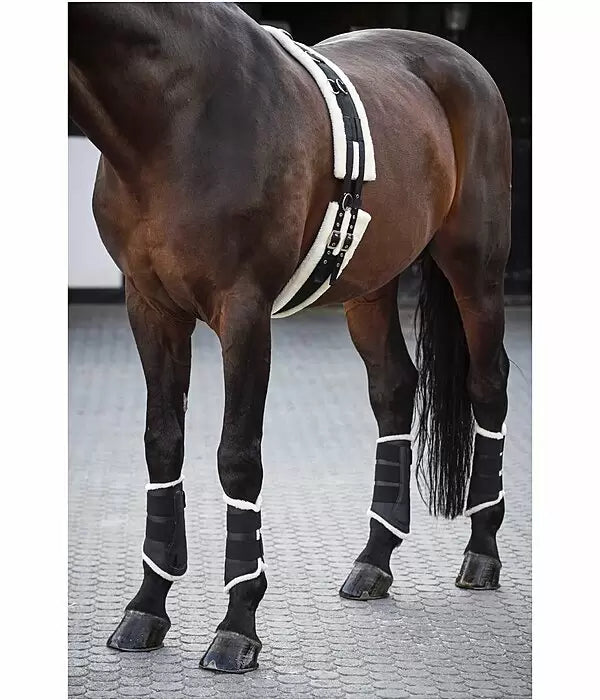 Protectores patas traseras Teddy Classic