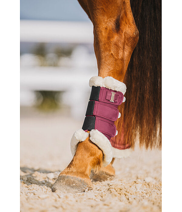 Protectores Teddy Traseros