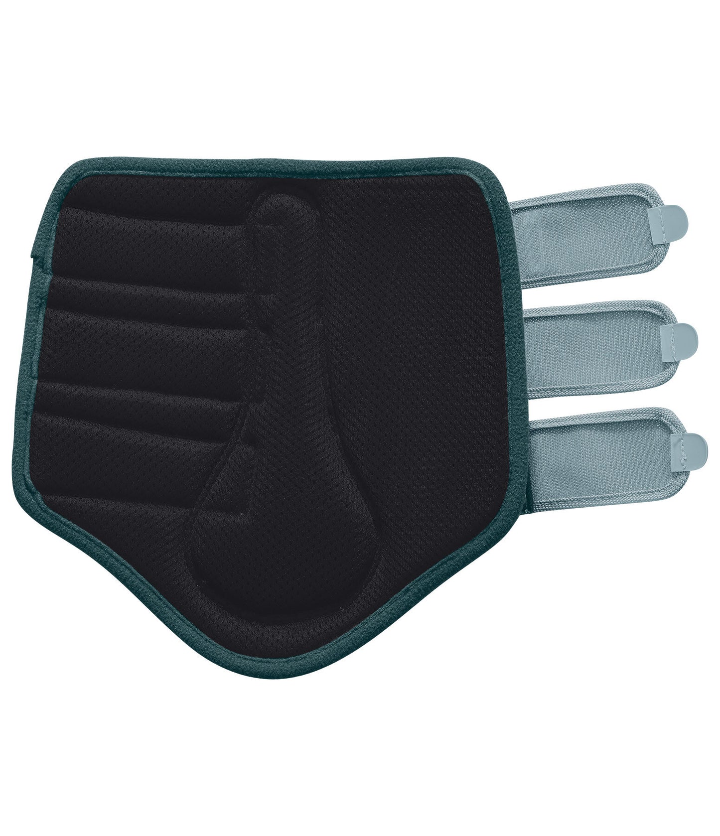 Protectores Suiza. Patas traseras