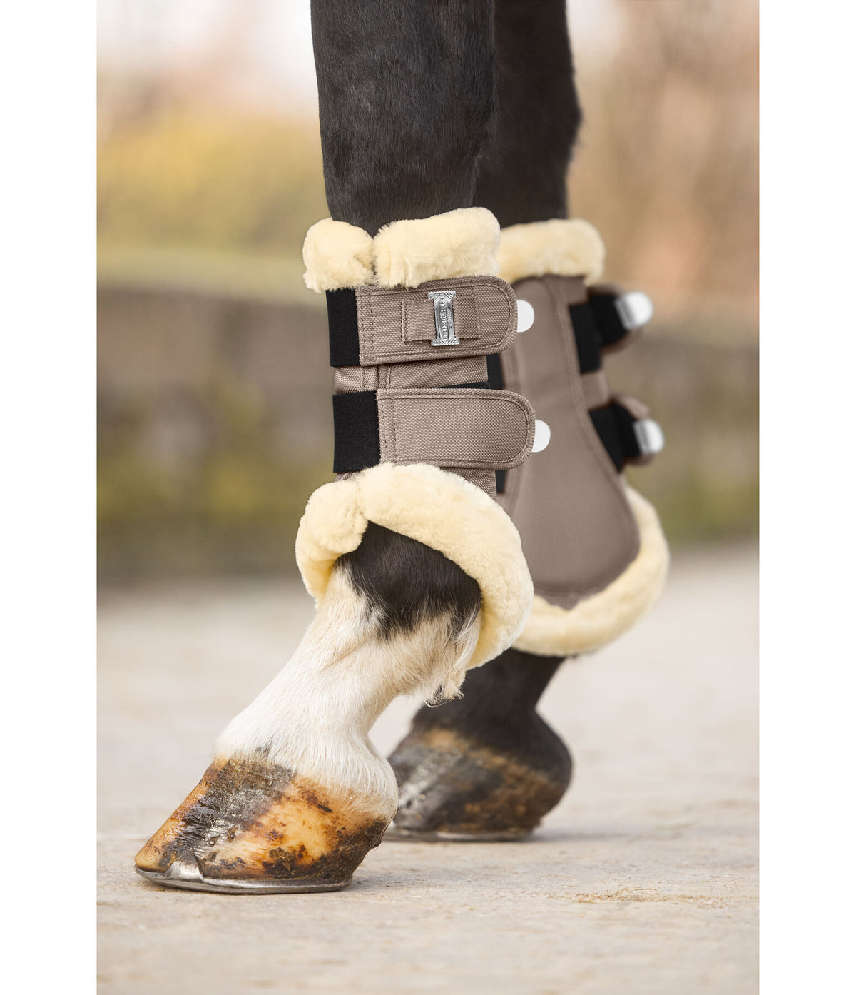 Protectores Teddy patas delanteras
