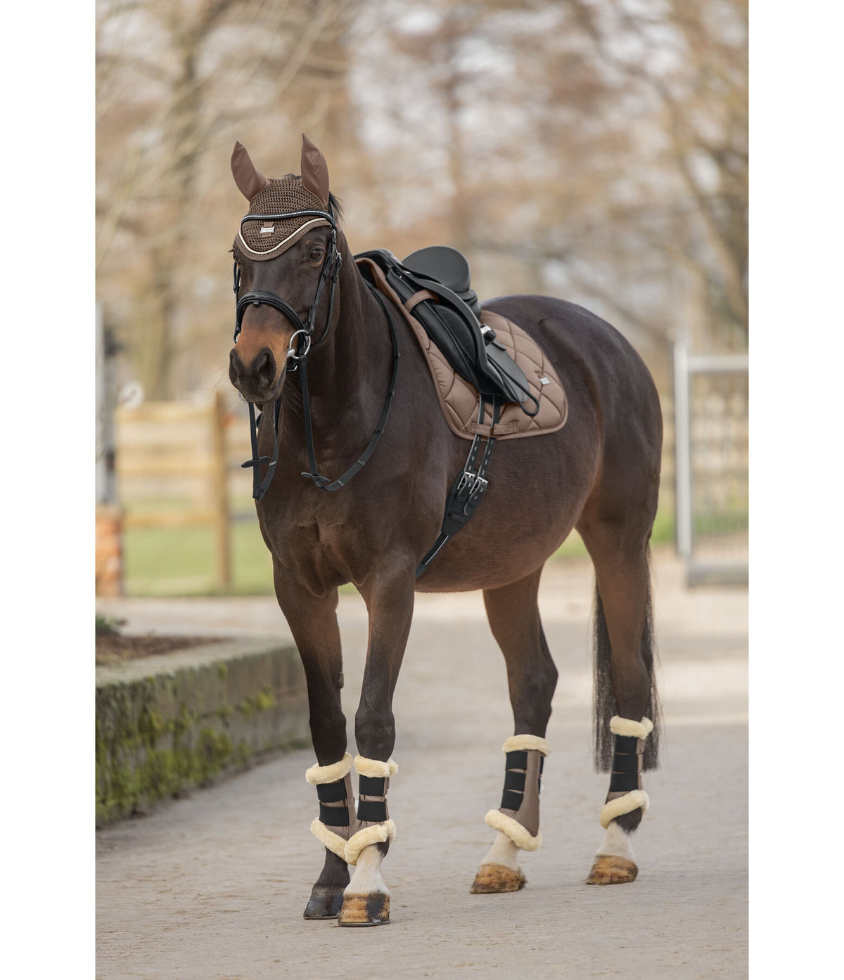 Protectores Teddy Traseros