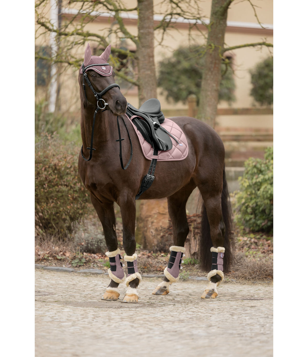 Protectores Teddy patas delanteras
