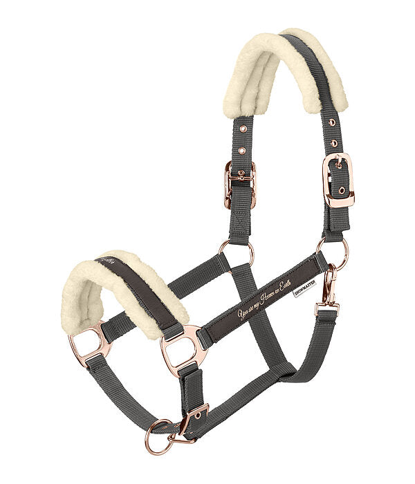 Cabezada de cuadra caballo borreguito - Showmaster Better Together