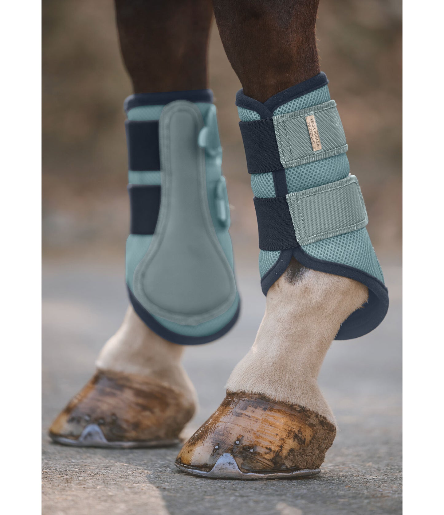 Protectores Suiza. Patas delanteras