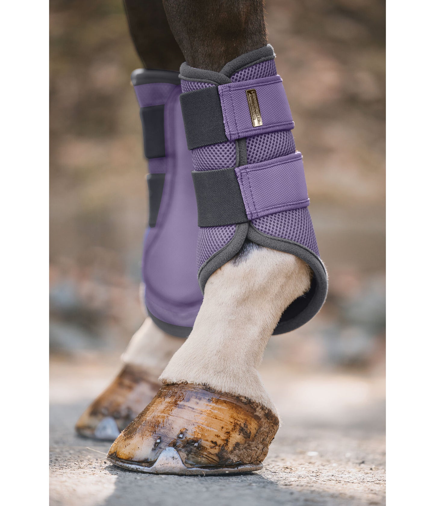 Protectores Suiza. Patas delanteras