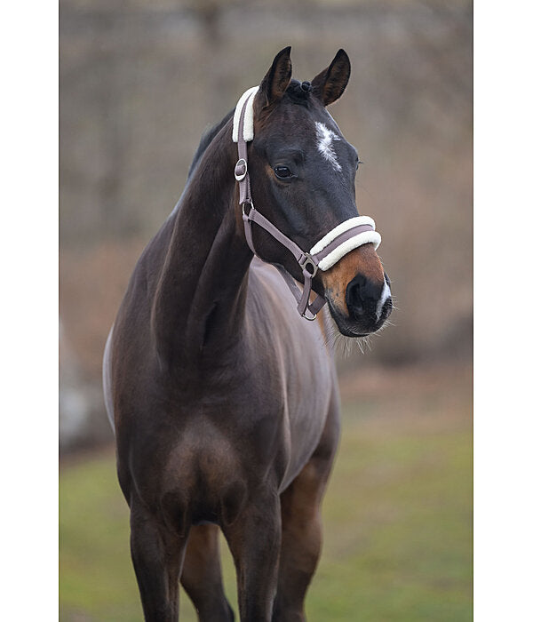 Cabezada Borreguito lll Caballo