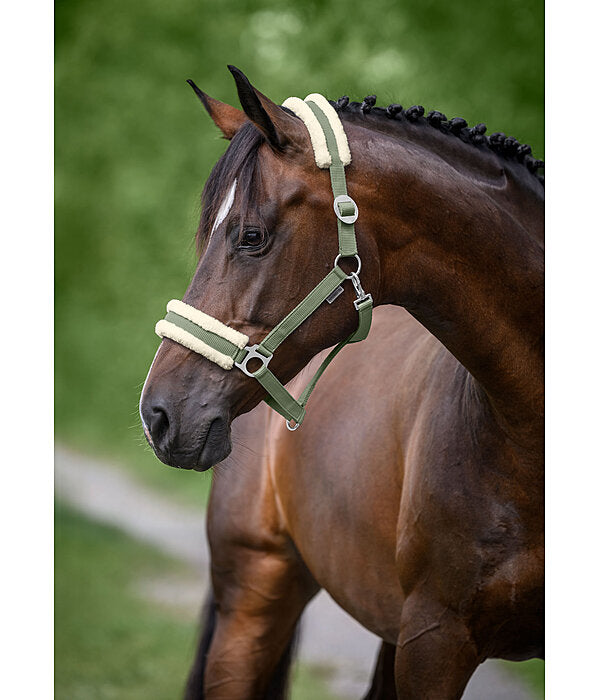 Cabezada Borreguito lll Caballo