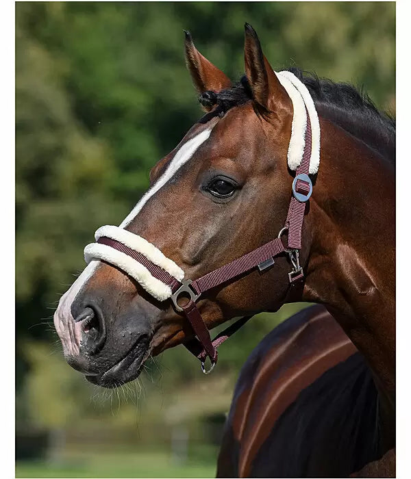 Cabezada Borreguito lll Caballo